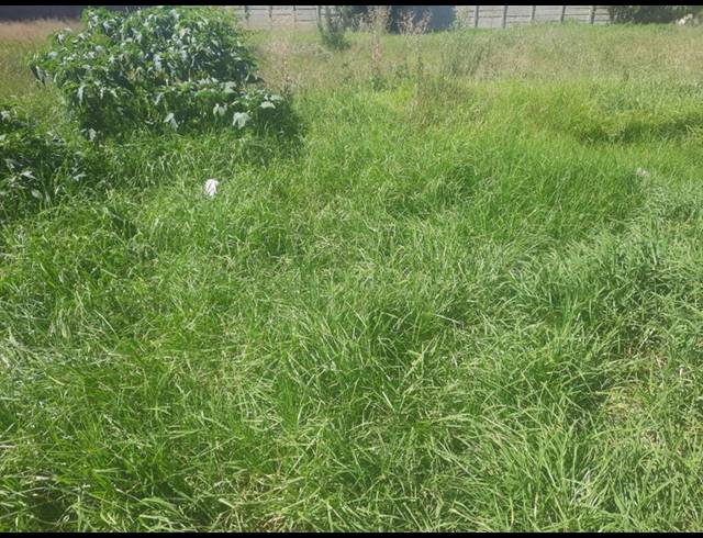 LAND FOR SALE IN BEDWORTH PARK